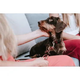 Hunter Verstellbare Führleine Canadian Up