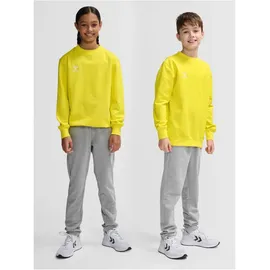 hummel hmlGO 2.0 Sweatshirt Kinder 5269 blazing yellow 164