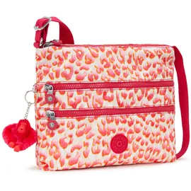 Kipling Alvar latin cheetah