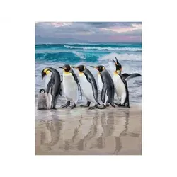 Kaiserpinguine Malen nach Zahlen
