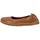El Naturalista N5912 Origen Weit 36