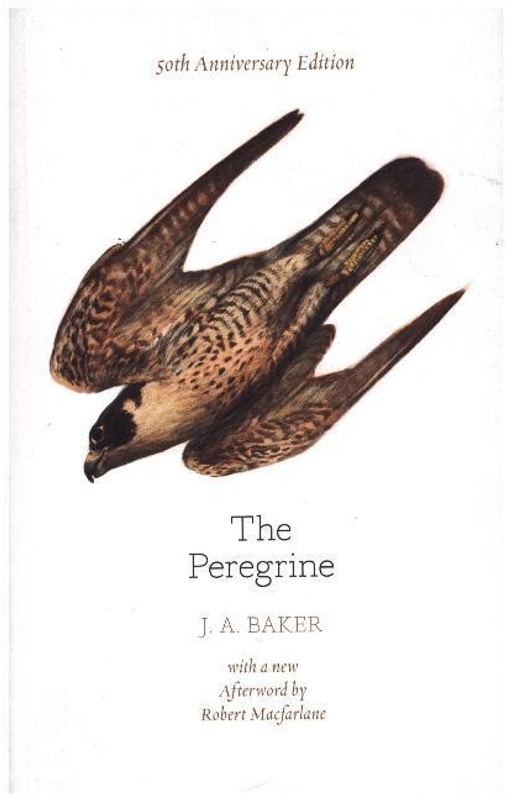 The Peregrine: 50Th Anniversary Edition - J. A. Baker, Kartoniert (TB)