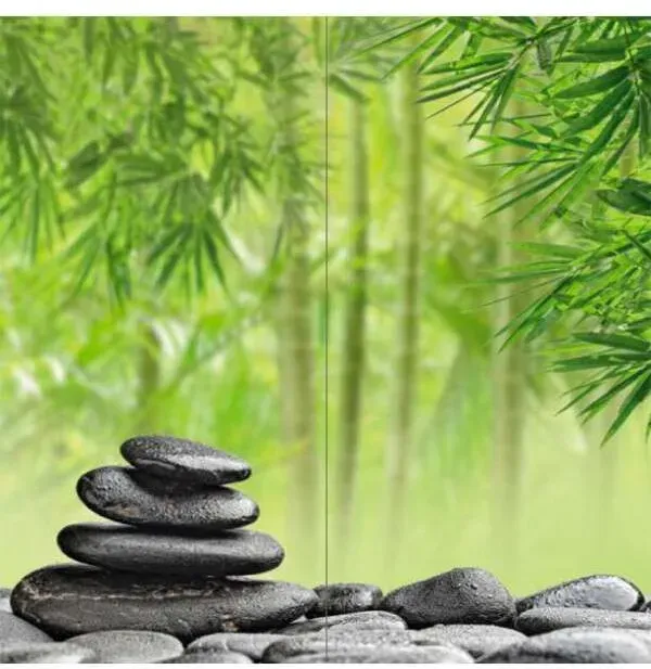 DM-WIN Duschmeister Duschrückwand Motiv Set Wellness - Duschkabine