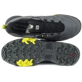Salomon X Ultra 4 Gore-Tex Herren Quiet Shade / Black / Evening Primrose 44