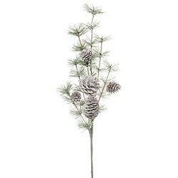 Frost-Kiefernzweig mit Zapfen, 50 cm
