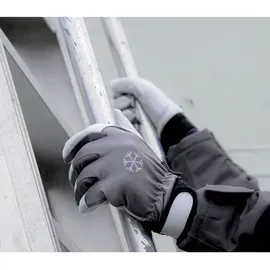 COFRA Winter Arbeitshandschuhe aus Ziegenleder 8 (m)