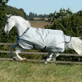Bucas Power Turnout Light Regendecke Silver 125
