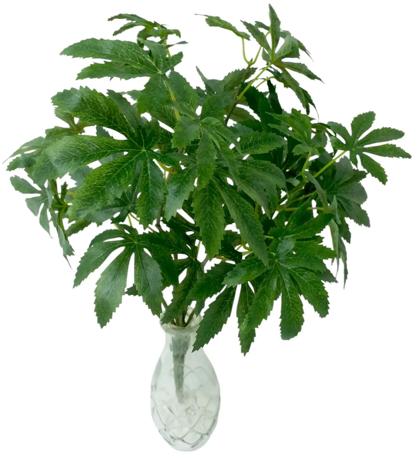 Hanf Busch 40cm 56Blatt grün