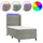 vidaXL Boxspringbett 100 x 200 cm Hellgrau