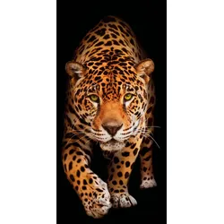 EUROART Glasbild 30 x 80 cm Panther II Glas Orange