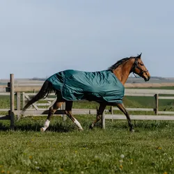 Equithème Tyrex 600D Outdoor Decke 150g, 6'0