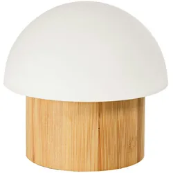 DUNI LED Lampe Konzept Brother