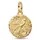 Pandora Schwalbe Gold 764082C01