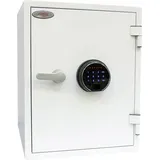 FS1283F / NT Fire 017-60P