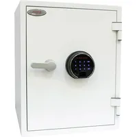 Phoenix Titan FS1283F / NT Fire 017-60P