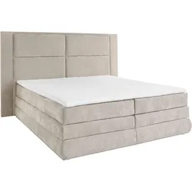 Collection AB Copenhagen 231 x 215 cm Grau