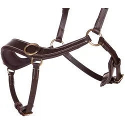 QHP Gebisslose Trense Anatomical