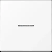 Jung Taster 1fach BT A 17101 WWM