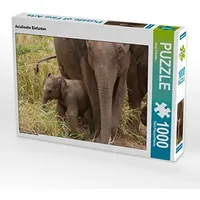 Calvendo Puzzle Asiatische Elefanten 1000 Teile Lege-Größe 64 x