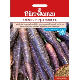 Dürr-Samen - Möhren Purple Haze F1 Saatgut