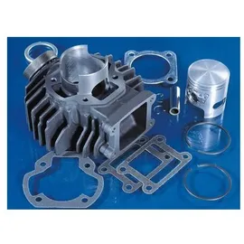 Polini kids Dichtungssatz Zylinderkit 50cc für Yamaha DT 50-Chappy Grün