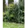 DanDiBo Ambiente Rosenbogen 120 x 0 x 0 cm Grau/Silber