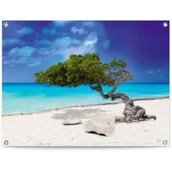 Reinders! Poster »Tropische Insel« Reinders! Farbe Bild(er): blau