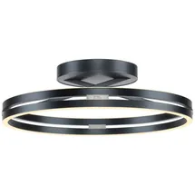 neuhaus pure® by paul neuhaus PURE Loop 1-flg. 60 cm rund grau