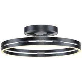 neuhaus pure® by paul neuhaus PURE Loop 1-flg. 60 cm rund grau