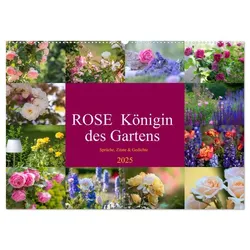 Rose Königin des Gartens (Wandkalender 2025 DIN A2 quer), CALVENDO Monatskalender