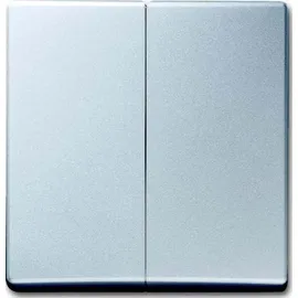 Busch-Jaeger Wippe alusilber 2105-33