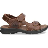 Panama Jack Salton Basics Peeptoe Sandalen, Braun (Cuero C4)