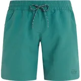 Protest Damen Badeshorts PRTHAUPUKA beachshort, Laurelgreen, 38