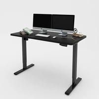 Flexispot E1 Elektrisch Höhenverstellbarer Schreibtisch mit Tischplatte 2-Fach-Teleskop, mit Memory-Steuerung