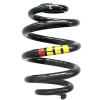 SPIDAN Fahrwerksfeder