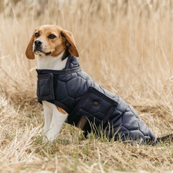 QHP Hundedecke Classy, 55