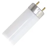 Osram Lumilux T8 L 36W/865 G13