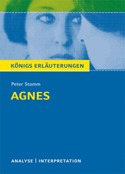 Peter Stamm 'Agnes' - Peter Stamm  Taschenbuch