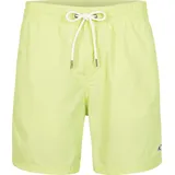 O'Neill Vert 16'' Swim Shorts sunny lime (12014) S