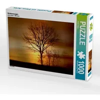 Calvendo Wintermorgen (Puzzle)