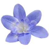 Whakano 30x Künstliche Blumen Orchidee,8cm Seidenblume Köpfe KunstOrchidee,Kunstblumen Orchidee,Künstlich Blumenkopf Deko-Blüten Orchideeblumen für Thanksgiving Party Tischdeko DIY Kleidung Deko,Blau