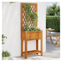 vidaXL Pflanzkübel mit Rankgitter & Ablage 55 x 29,5 cm Braun