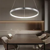 GLOBO Hängeleuchte Led Lampen Ring silber rund Pendelleuchte Wohnzimmer hängend Modern, aus Metall in Nickel-matt Opal, 1x Led 19w 900lm warmweiß, Txh 38,5x120 cm