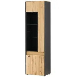 Möbel Kraft Vitrine Light Line 10 56 x 40 x 196 cm Holzfarben