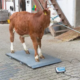 Kerbl Tierwaage PS 2000 bis 1000 kg