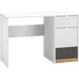 Feldmann-Wohnen Schreibtisch Torino Computertisch 120x55x79cm weiß Eiche Castello graphit 1-türig - Weiß
