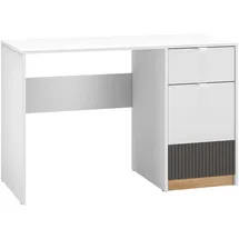 Feldmann-Wohnen Schreibtisch Torino Computertisch 120x55x79cm weiß Eiche Castello graphit 1-türig - Weiß