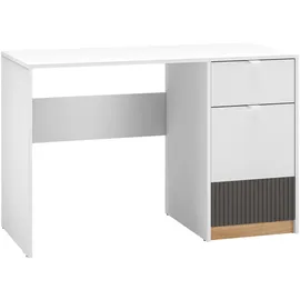 Feldmann-Wohnen Schreibtisch Torino Computertisch 120x55x79cm weiß Eiche Castello graphit 1-türig - Weiß