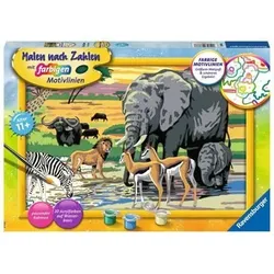 RAVENSBURGER 28766 Malen nach Zahlen - Tiere in Afrika