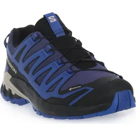 Salomon XA Pro 3D V9 GTX Herren Blue Print/Surf The Web/Lapis Blue 42